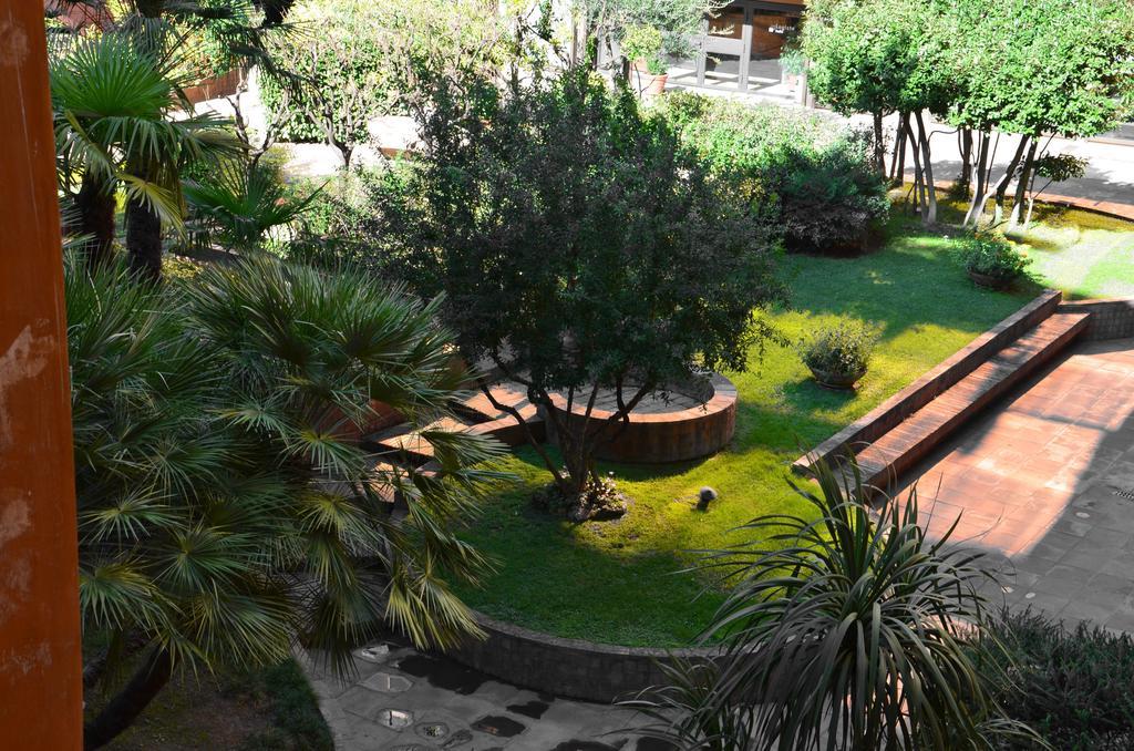 Trevi Fashion Apartamento